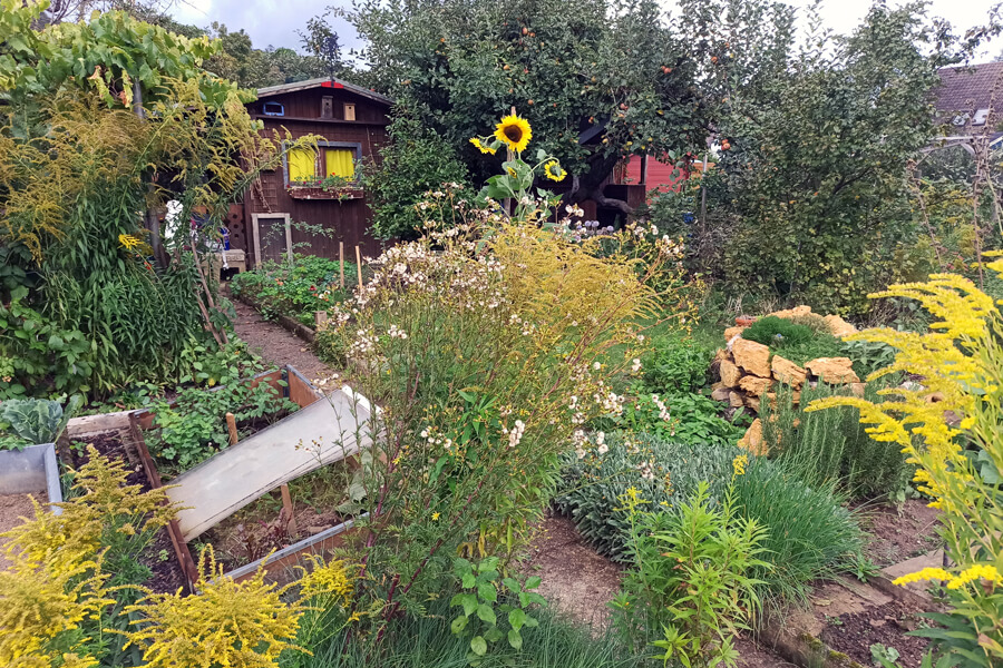 Gartenfreunde Garten