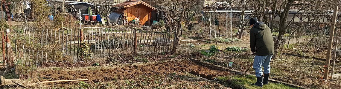 Gartenfreunde Umgraben